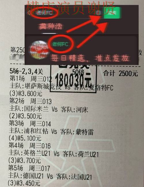 米乐世界杯竞猜app下载安装与玩法指南